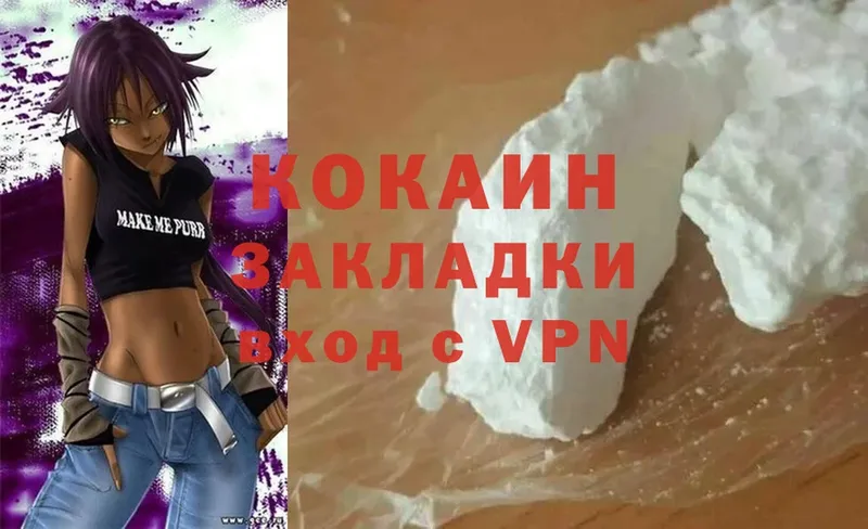 наркота  Щёкино  COCAIN FishScale 