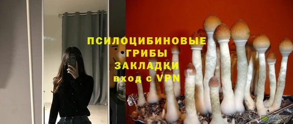дурь Нея