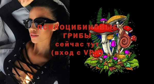 эйфоретик Вяземский