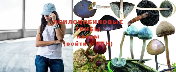 наркотики Новокубанск