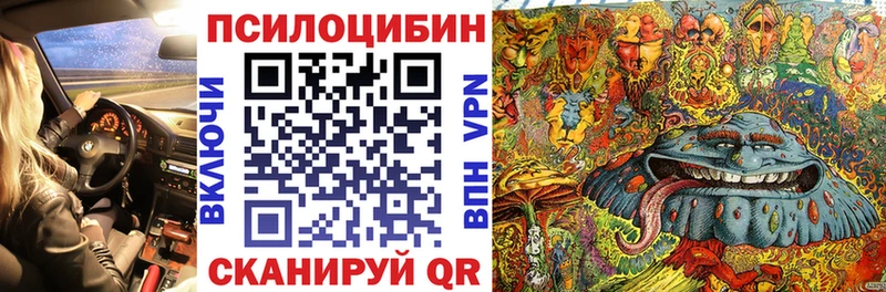 MEGA как зайти  где найти   Щёкино  Галлюциногенные грибы GOLDEN TEACHER 